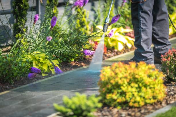Trusted Brock Hall, MD Pressure Washing Services Experts